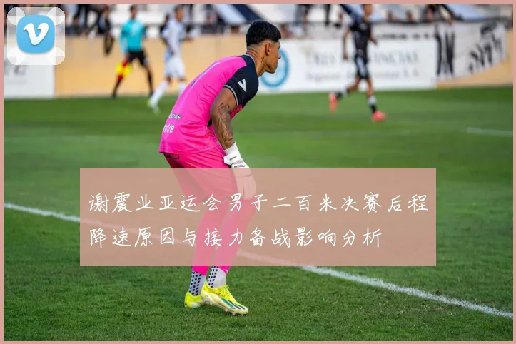 谢震业亚运会男子二百米决赛后程降速原因与接力备战影响分析
