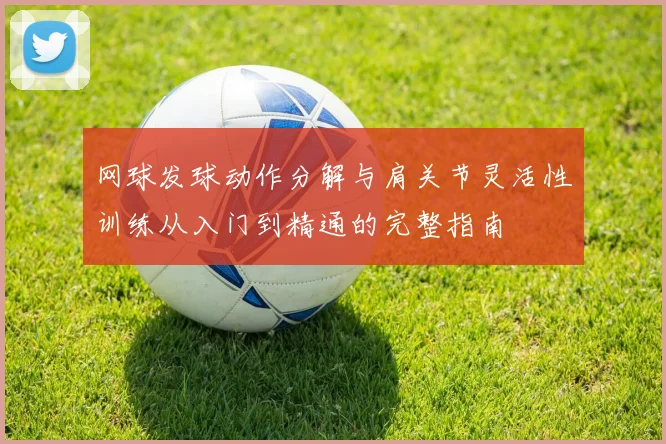 网球发球动作分解与肩关节灵活性训练从入门到精通的完整指南