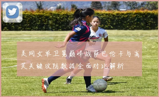 美网女单卫冕巅峰战萨巴伦卡与高芙关键攻防数据全面对比解析